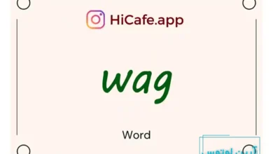 Meaning and usage of wag word