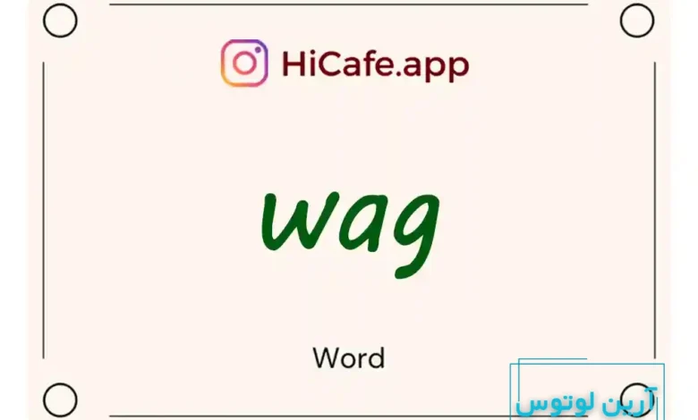 Meaning and usage of wag word