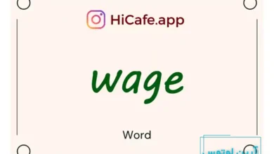 Meaning and usage of wage word