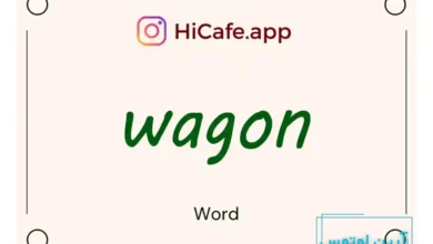 Meaning and usage of wagon word