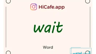 Meaning and usage of wait word