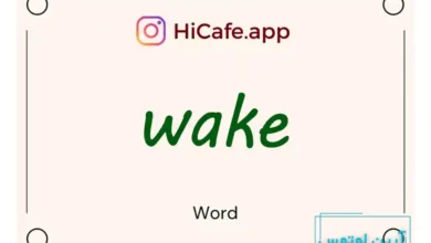 Meaning and usage of wake word