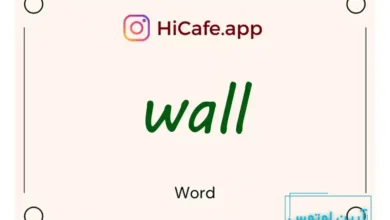 Meaning and usage of wall word