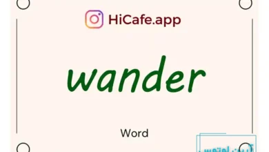 Meaning and usage of wander word