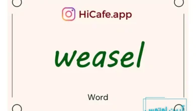 Meaning and usage of weasel word