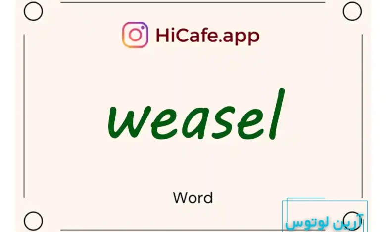 Meaning and usage of weasel word