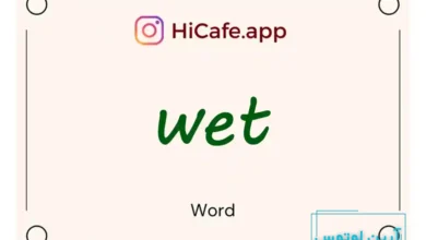 Meaning and usage of wet word