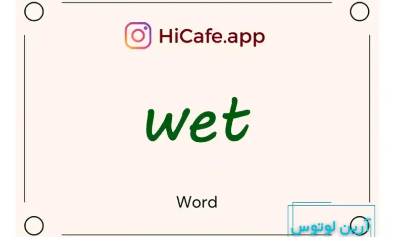 Meaning and usage of wet word