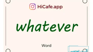 Meaning and usage of whatever word