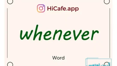 Meaning and usage of whenever word