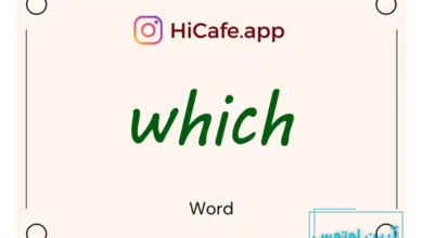 Meaning and usage of which word