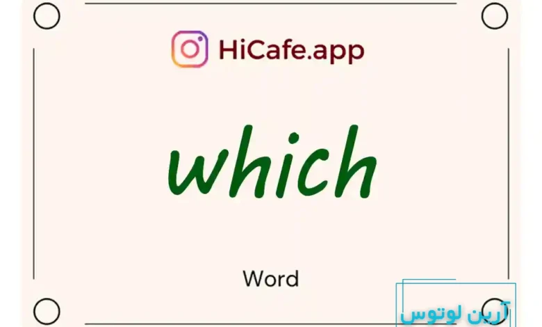 Meaning and usage of which word