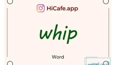 Meaning and usage of whip word