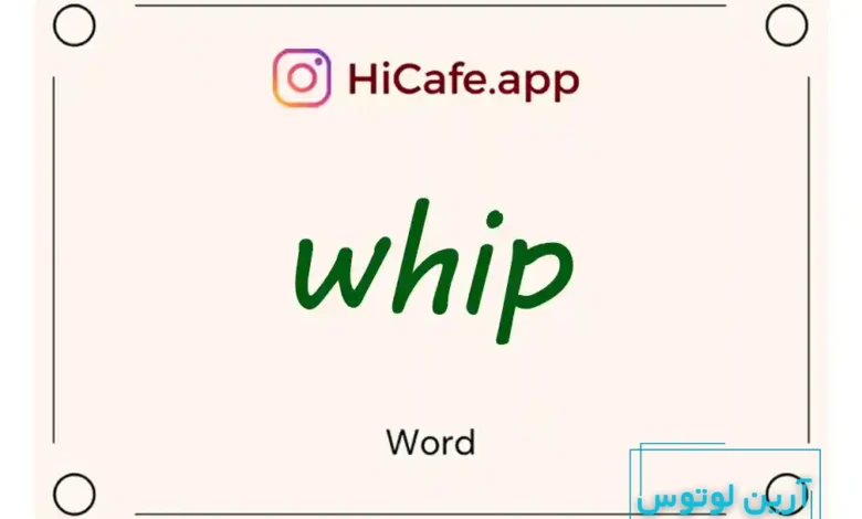 Meaning and usage of whip word