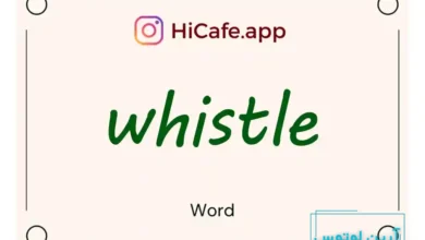 Meaning and usage of whistle word