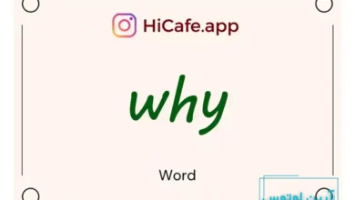 Meaning and usage of why word