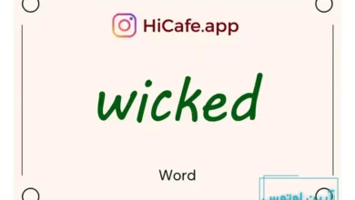 Meaning and usage of wicked word