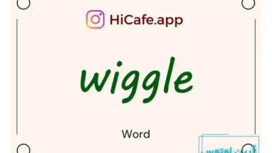 Meaning and usage of wiggle word
