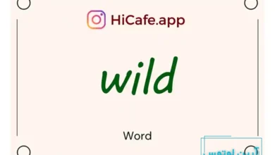 Meaning and usage of wild word
