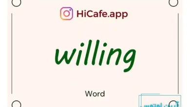 Meaning and usage of willing word