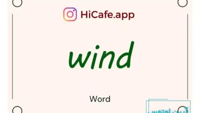 Meaning and usage of wind word