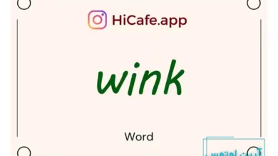 Meaning and usage of wink word