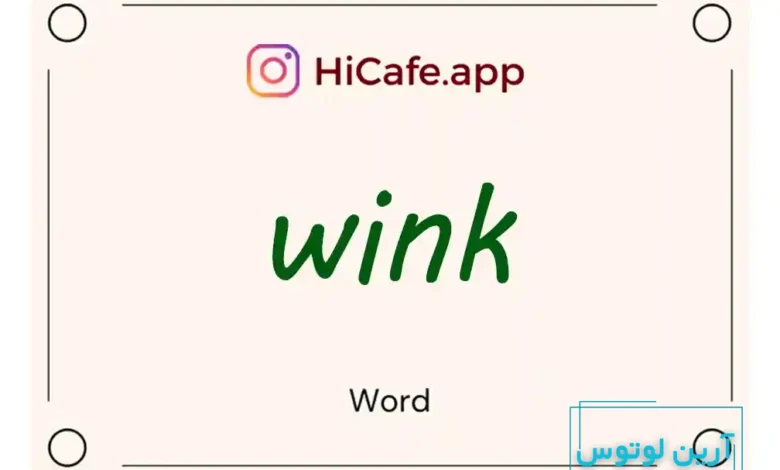 Meaning and usage of wink word