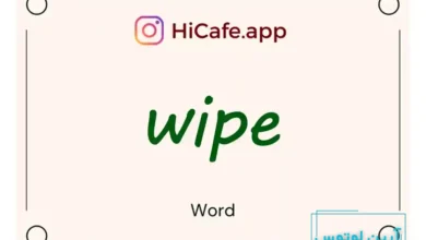 Meaning and usage of wipe word