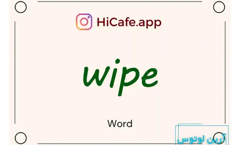 Meaning and usage of wipe word