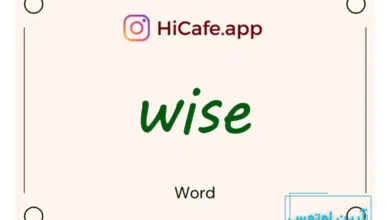 Meaning and usage of wise word