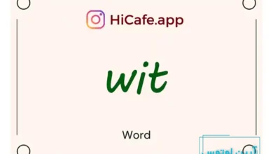 Meaning and usage of wit word