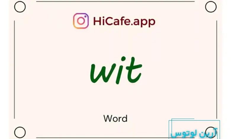 Meaning and usage of wit word
