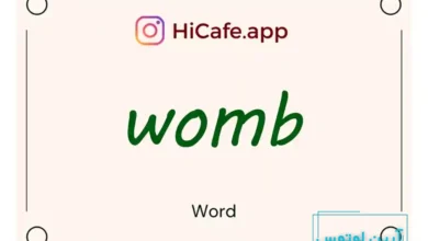 Meaning and usage of womb word
