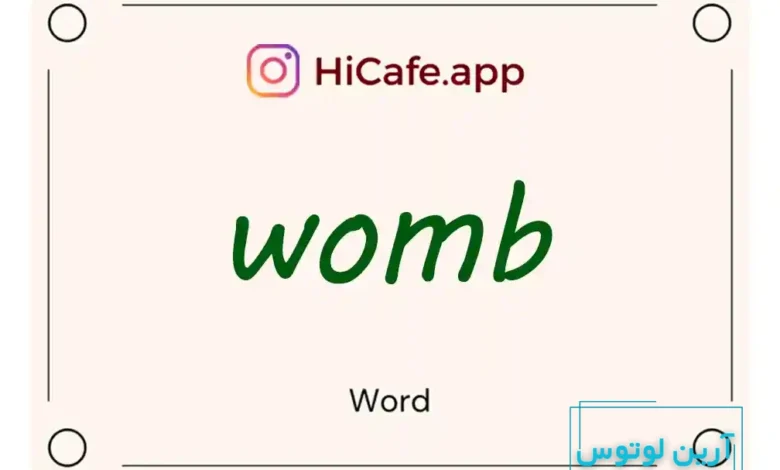 Meaning and usage of womb word
