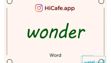 Meaning and usage of wonder word