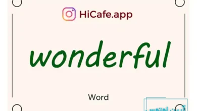 Meaning and usage of wonderful word