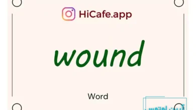 Meaning and usage of wound word