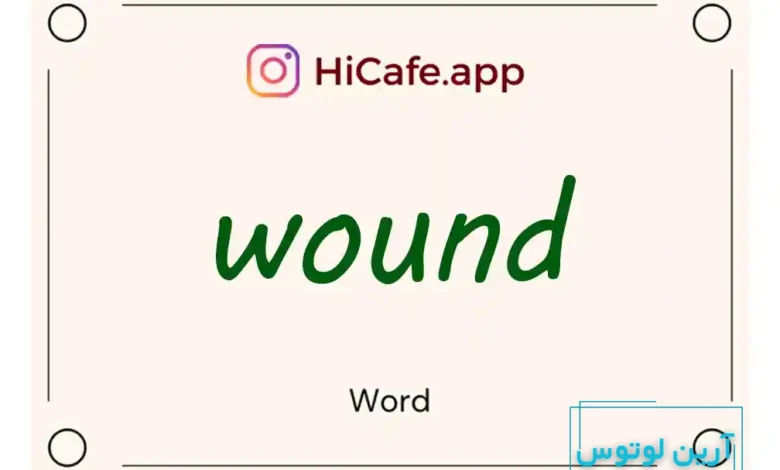 Meaning and usage of wound word