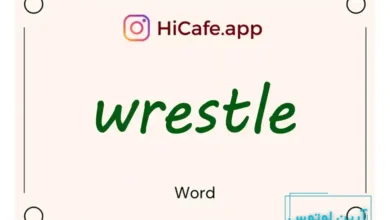Meaning and usage of wrestle word