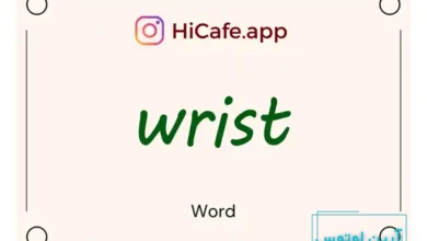 Meaning and usage of wrist word