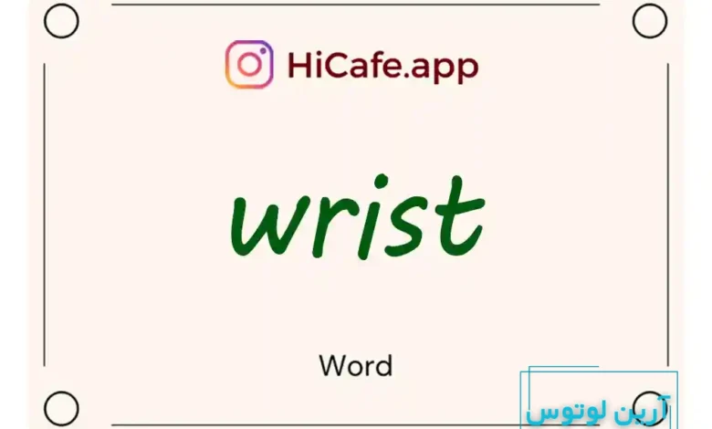 Meaning and usage of wrist word