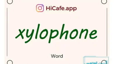 Meaning and usage of xylophone word