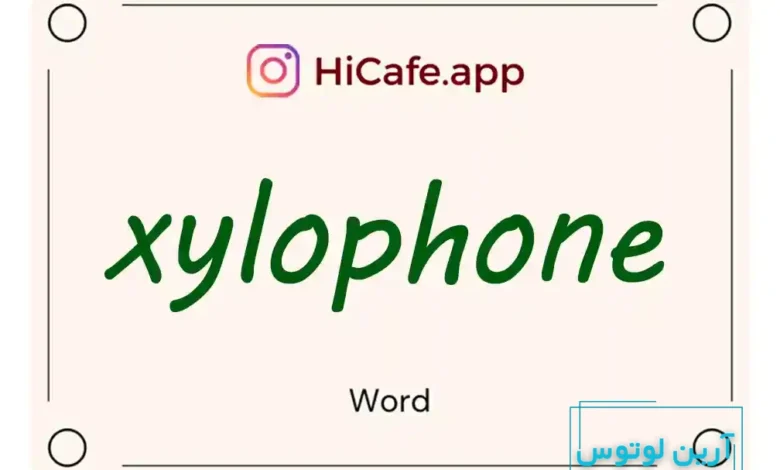 Meaning and usage of xylophone word