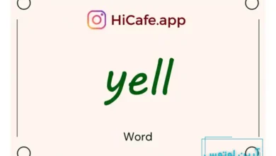 Meaning and usage of yell word