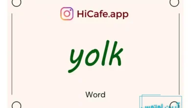 Meaning and usage of yolk word