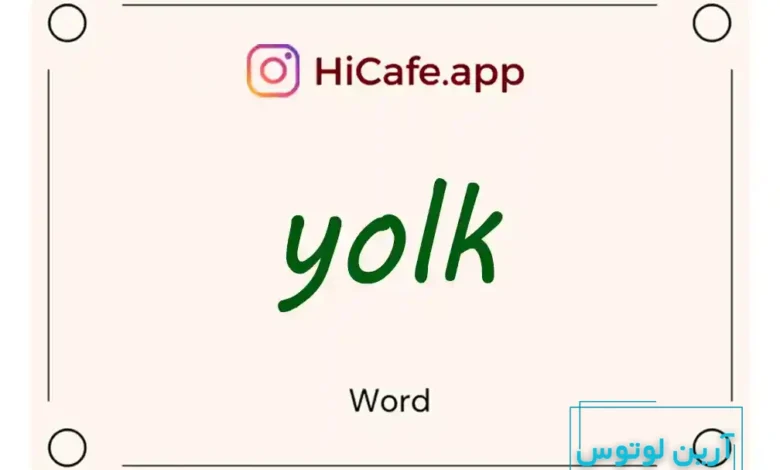 Meaning and usage of yolk word
