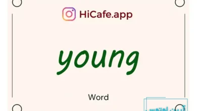 Meaning and usage of young word