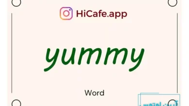 Meaning and usage of yummy word