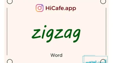 Meaning and usage of zigzag word