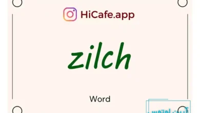Meaning and usage of zilch word